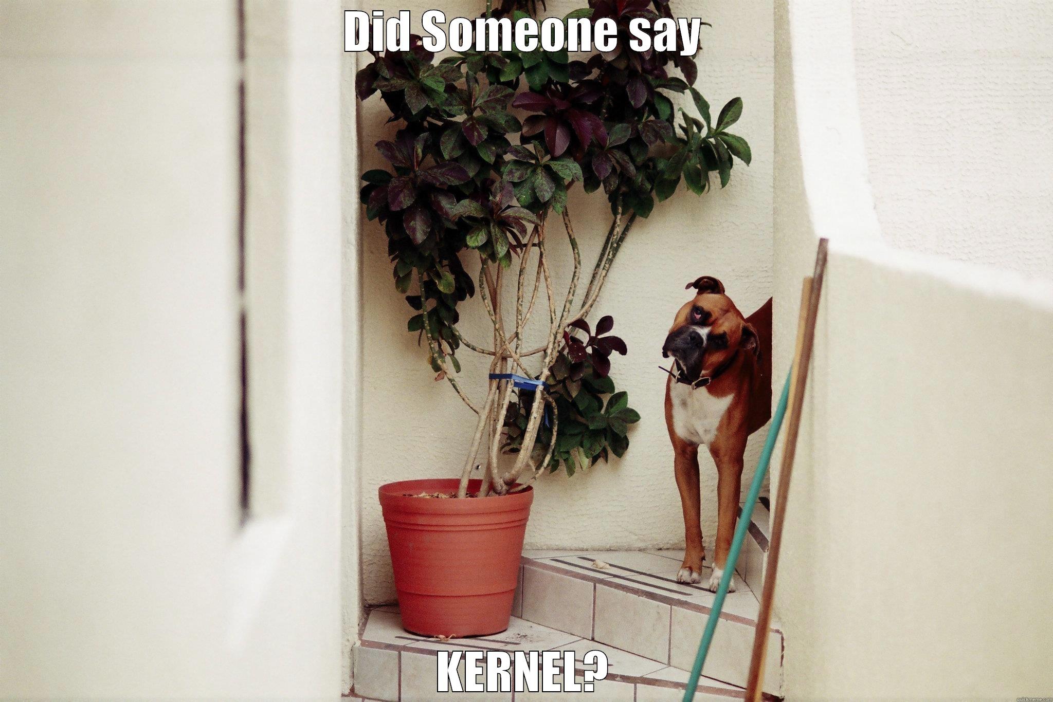 DID SOMEONE SAY KERNEL? Misc