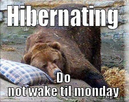 HIBERNATING DO NOT WAKE TIL MONDAY Misc