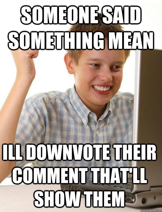 someone said something mean ill downvote their comment that'll show them - someone said something mean ill downvote their comment that'll show them  First Day on the Internet Kid