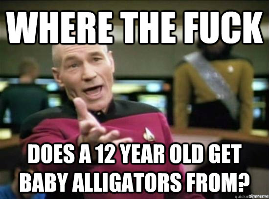 where the fuck does a 12 year old get baby alligators from?  Annoyed Picard HD