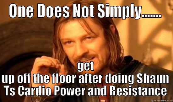ONE DOES NOT SIMPLY....... GET UP OFF THE FLOOR AFTER DOING SHAUN TS CARDIO POWER AND RESISTANCE Boromir