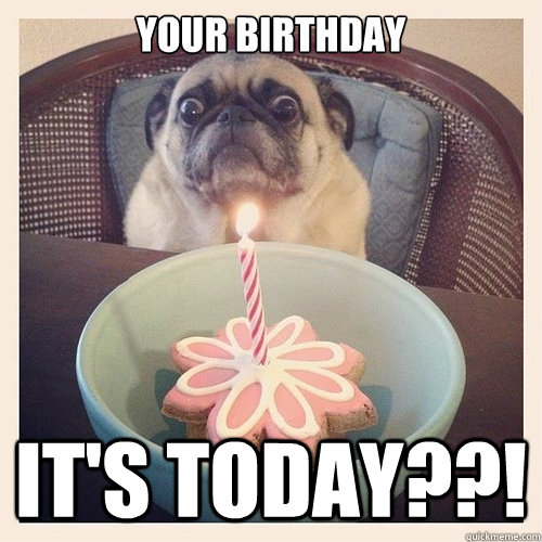 Your Birthday It's Today??! - Your Birthday It's Today??!  Scared birthday pug