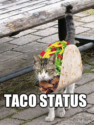 









TACO STATUS - 









TACO STATUS  Taco Cat