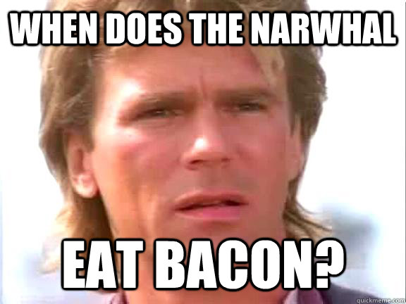 When does the narwhal eat bacon? - When does the narwhal eat bacon?  Confused macgyver