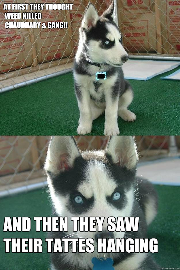 at first they thought
 weed killed
 chaudhary & gang!! and then they saw their tattes hanging  Insanity puppy