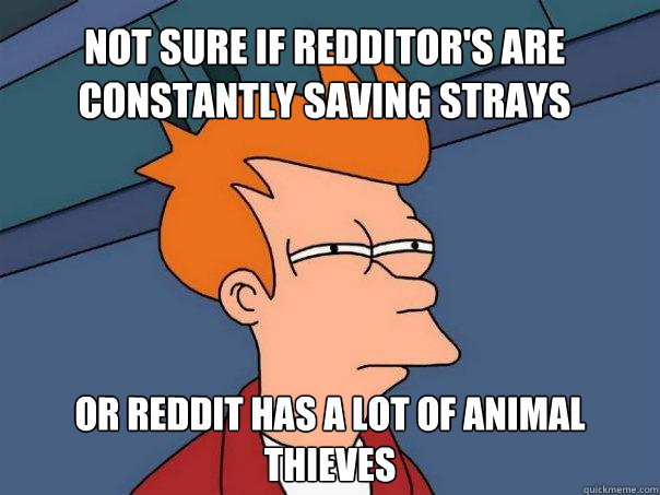 Not sure if redditor's are constantly saving strays Or reddit has a lot of animal thieves  Futurama Fry