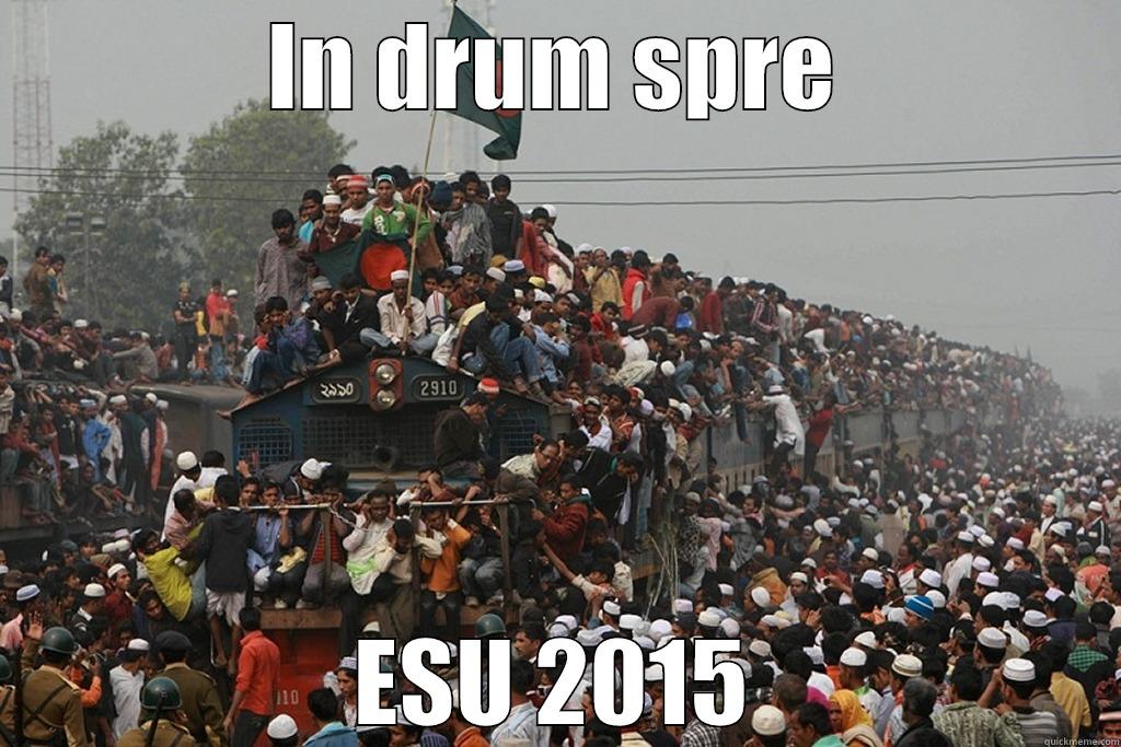 IN DRUM SPRE ESU 2015 Misc