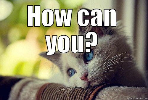 HOW CAN YOU?  First World Problems Cat