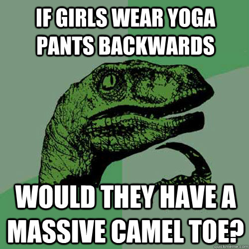 If girls wear yoga pants backwards would they have a massive camel toe?  Philosoraptor