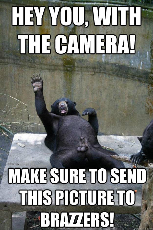 hey you, with the camera! make sure to send this picture to brazzers!  Ballsy Bear