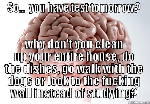 SO...  YOU HAVE TEST TOMORROW? WHY DON'T YOU CLEAN UP YOUR ENTIRE HOUSE, DO THE DISHES, GO WALK WITH THE DOGS OR LOOK TO THE FUCKING WALL INSTEAD OF STUDYING? Scumbag Brain