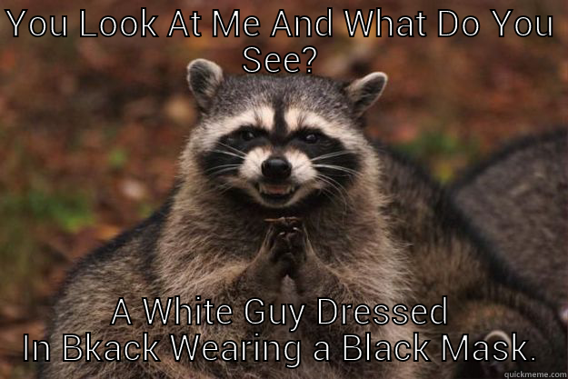 YOU LOOK AT ME AND WHAT DO YOU SEE? A WHITE GUY DRESSED IN BKACK WEARING A BLACK MASK. Evil Plotting Raccoon