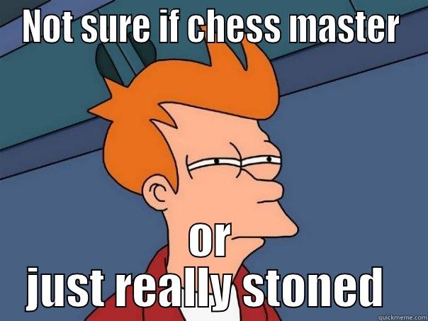 NOT SURE IF CHESS MASTER OR JUST REALLY STONED  Futurama Fry