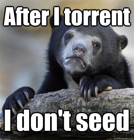 After I torrent I don't seed  Confession Bear