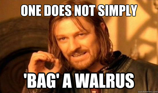 One Does Not Simply 'BAG' a Walrus  Boromir