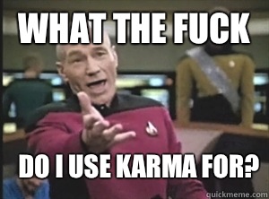what the fuck Do I use karma for?  