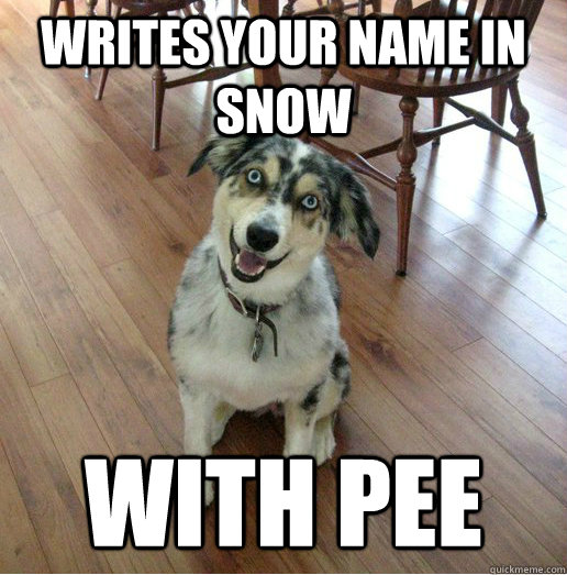 Writes your name in snow with pee - Writes your name in snow with pee  Misc