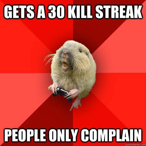 Gets a 30 kill streak People only complain  Gaming Gopher