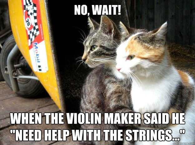 No, wait! When the violin maker said he 