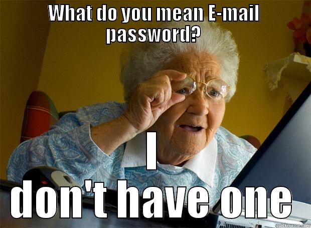 WHAT DO YOU MEAN E-MAIL PASSWORD? I DON'T HAVE ONE Grandma finds the Internet