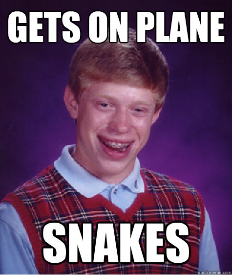 Gets on plane snakes  Bad Luck Brian
