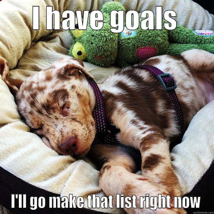 I HAVE GOALS I'LL GO MAKE THAT LIST RIGHT NOW Misc
