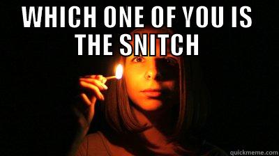 WHICH ONE OF YOU IS THE SNITCH  Misc