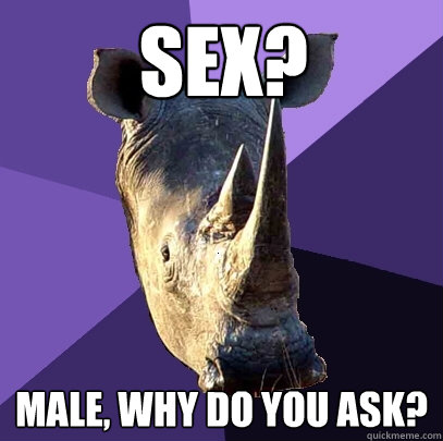 SEx? Male, why do you ask?  Sexually Oblivious Rhino