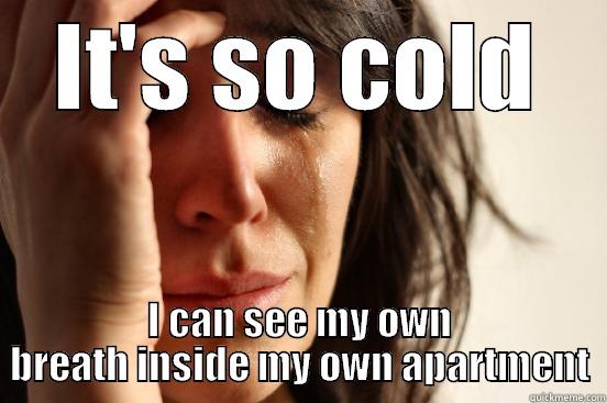 IT'S SO COLD I CAN SEE MY OWN BREATH INSIDE MY OWN APARTMENT First World Problems