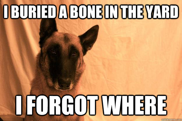 I buried a bone in the yard I forgot where  