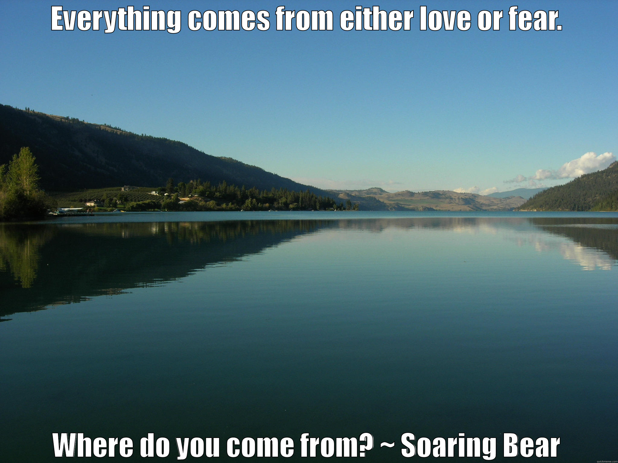 EVERYTHING COMES FROM EITHER LOVE OR FEAR. WHERE DO YOU COME FROM? ~ SOARING BEAR Misc