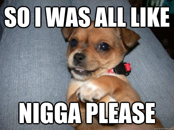 SO I WAS ALL LIKE NIGGA PLEASE - SO I WAS ALL LIKE NIGGA PLEASE  Gangsta Chihuahua