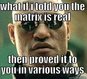WHAT IF I TOLD YOU THE MATRIX IS REAL THEN PROVED IT TO YOU IN VARIOUS WAYS Matrix Morpheus