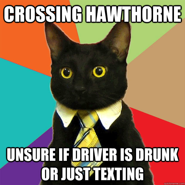 CROSSING HAWTHORNE UNSURE IF DRIVER IS DRUNK OR JUST TEXTING  Business Cat
