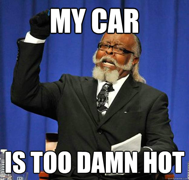 my car is too damn hot  Jimmy McMillan