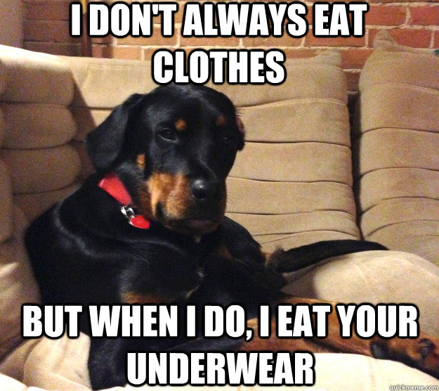 I don't always eat clothes but when I do, I eat your underwear   