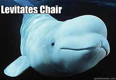 Levitates Chair  Misbehavin Pocket Whale