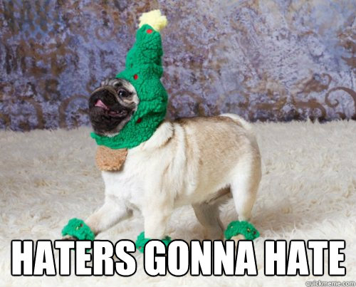  HATERS GONNA HATE  Christmas Pug