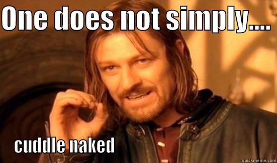 ONE DOES NOT SIMPLY....  CUDDLE NAKED                                              Boromir