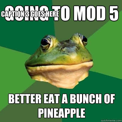 Going to Mod 5 better eat a bunch of pineapple Caption 3 goes here  Foul Bachelor Frog