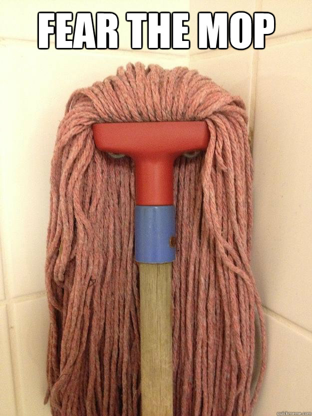 FEAR THE MOP   Insanity Mop