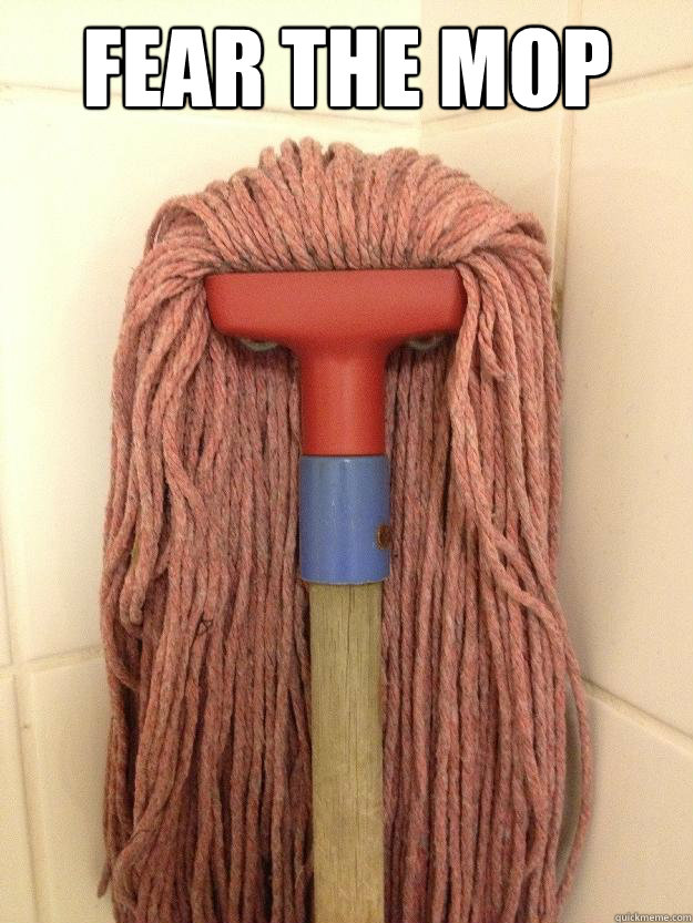 FEAR THE MOP  - FEAR THE MOP   Insanity Mop