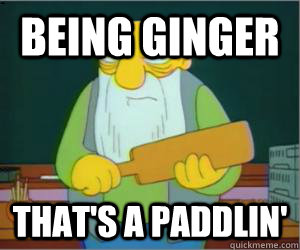 Being ginger That's a paddlin'  Paddlin Jasper