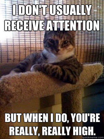 I don't usually receive attention but when I do, you're really, really high. - I don't usually receive attention but when I do, you're really, really high.  The Most Interesting Cat in the World