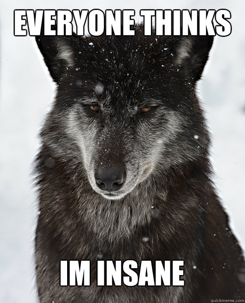 Everyone thinks Im insane - Everyone thinks Im insane  Sad Wolf