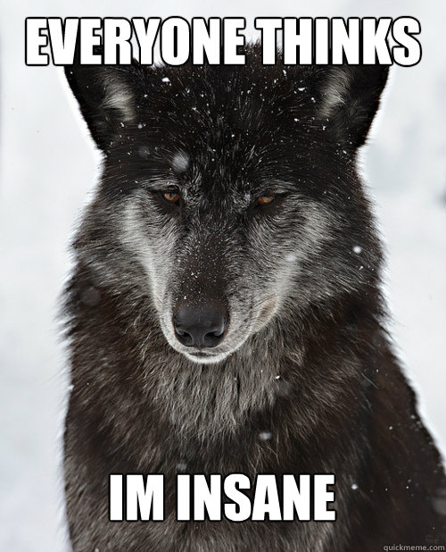 Everyone thinks Im insane  Sad Wolf