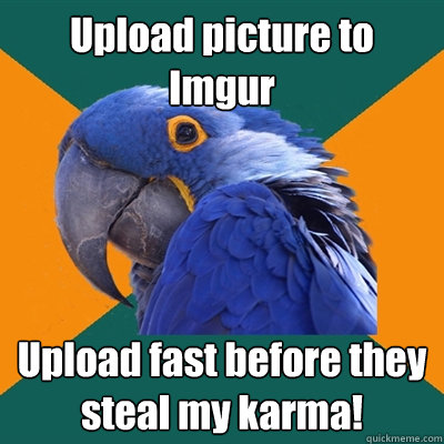 Upload picture to Imgur Upload fast before they steal my karma!  Paranoid Parrot