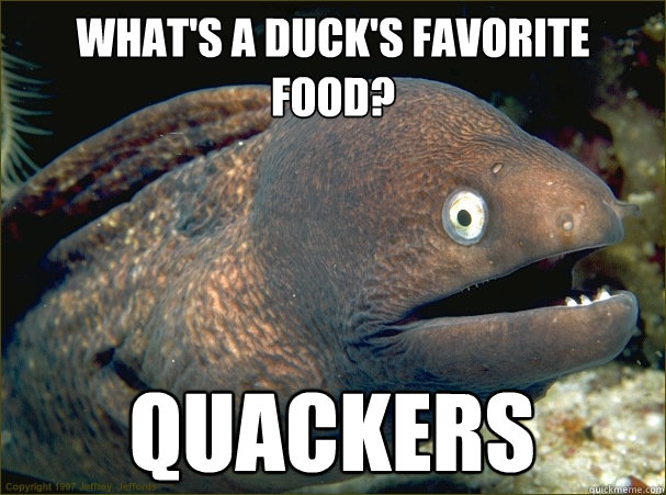 What's a duck's favorite food? Quackers - What's a duck's favorite food? Quackers  Bad Joke Eel