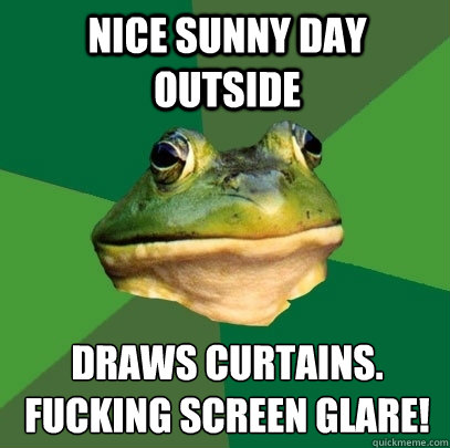 Nice sunny day outside draws curtains. Fucking screen glare!
  Foul Bachelor Frog