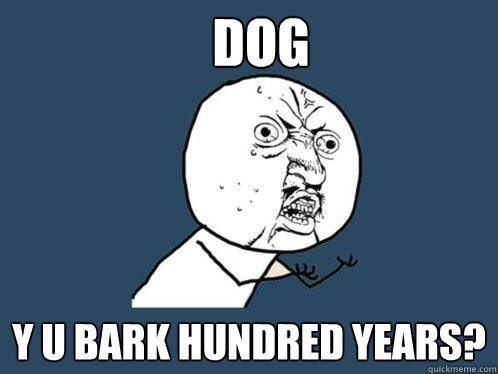 Dog Y U BARK hundred years?  Y U No